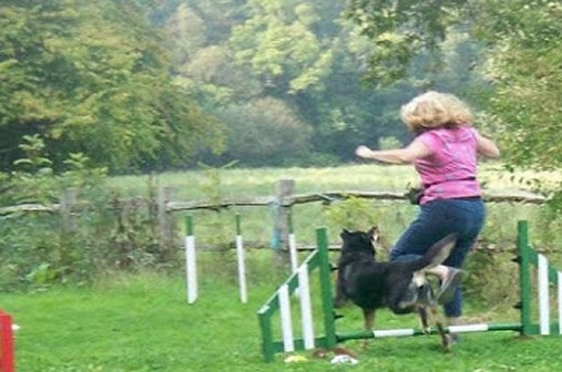 Mabel- COMPANION DOG OBEDIENCE training