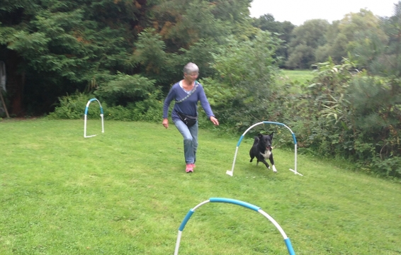 Hoopers for fun - FUN ACTIVITIES WITH YOUR DOG