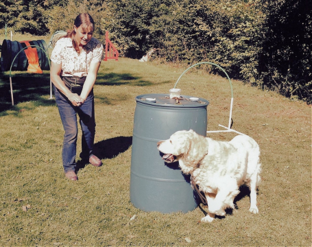 Hoopers for fun - IMPROVING PERFORMANCE of your dog