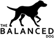The Balanced Dog